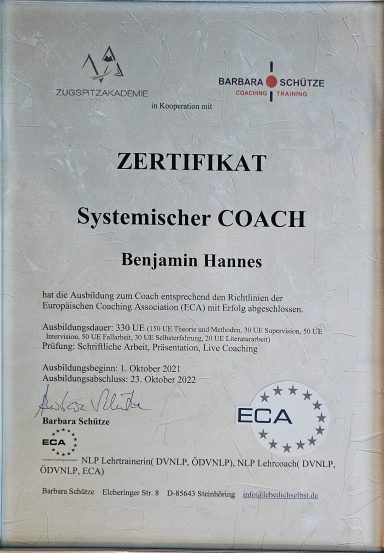 Systemischer Coach